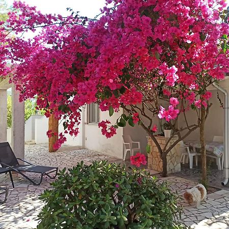 Villa Beatrice Serranova Luaran gambar